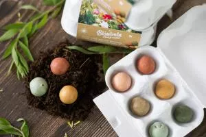 Blossombs Bombe s semeni - darilna škatlica za jajca - šopek (6 kosov) - izvirno in praktično darilo