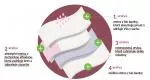 Organyc Menstrualne spodnjice iz organskega bombaža - ultra vpojne M