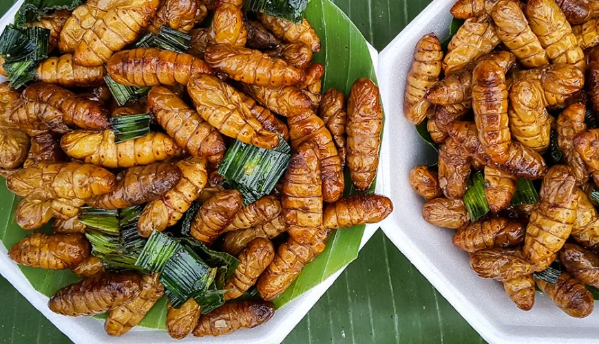 Zakaj je sušeni insekti prihodnost prehranjevanja